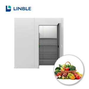 Sala fria pequena de 30CBM para frutas e legumes