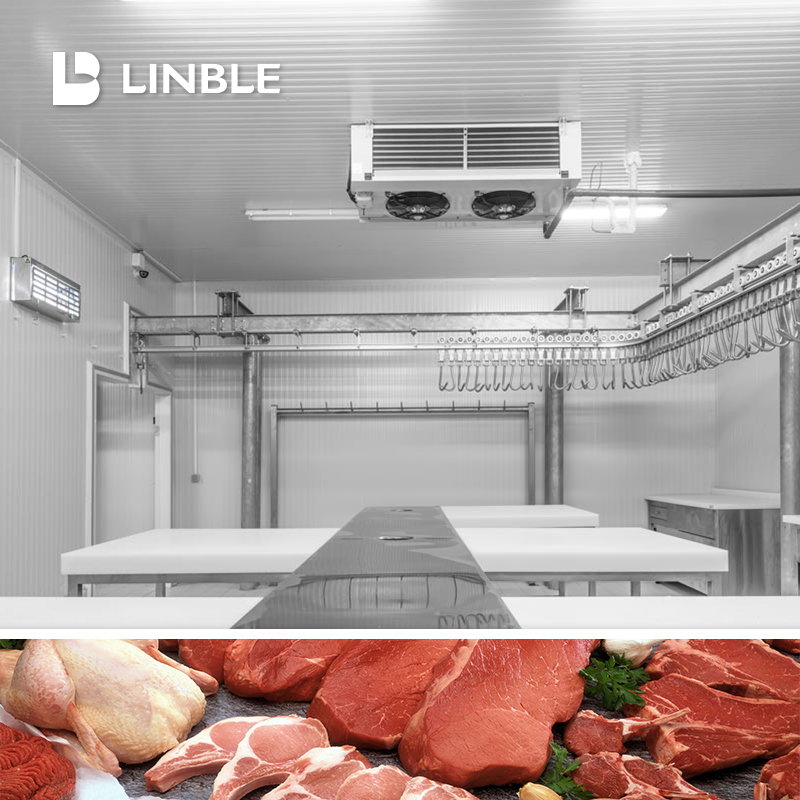 Sala fria de 100CBM para carne congelada, peixe congelado